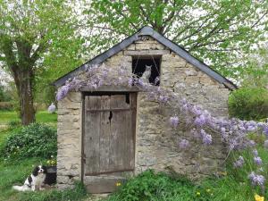 Zahrada ubytování gîte le tilleul de la Fontaine