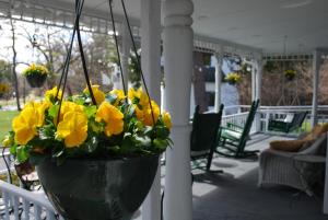a pot of yellow flowers hanging on a porch at Anne's Washington Inn in Saratoga Springs