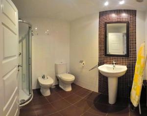 ein Badezimmer mit einem WC, einem Waschbecken und einem Spiegel in der Unterkunft Apartamento Ria de Foz in Foz
