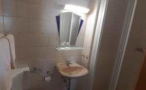 een badkamer met een wastafel en een spiegel bij Gasthaus "Zur Linde" in Harzgerode
