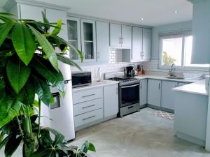 una cocina con armarios blancos y una planta en el primer plano en Ocean Crest, en Castries