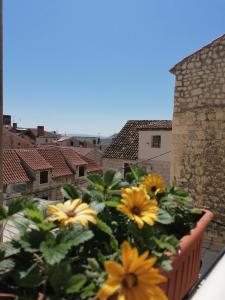 a bunch of yellow flowers in a pot on a balcony at Apartments Smile in Split