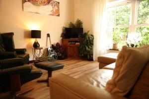 恩尼斯基林的住宿－Cuilcagh Luxury Studio，带沙发和电视的客厅