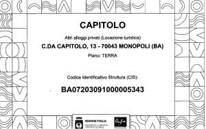 una pagina di un documento con disegno di un disegno di modello di Capitolo a Monopoli