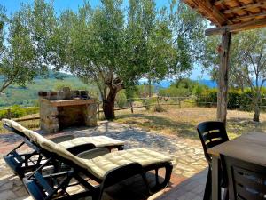 Táj Show holiday homes közelében