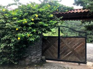 a wooden gate in front of a bush with yellow flowers at Arca de Noe in Valle Hornito