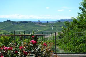 a view of a vineyard from a garden with flowers at Casa Caimotta in Neive