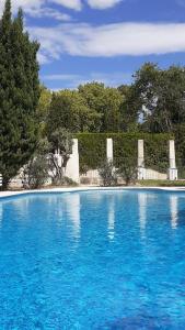 uma grande piscina com água azul e árvores em Hôtel Villa Glanum et Spa em Saint-Rémy-de-Provence