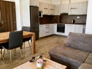Kuchyň nebo kuchyňský kout v ubytování Apartmán Horní Mísečky 437
