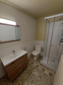 a bathroom with a toilet and a sink and a shower at Logies Mario in Tongeren +36 photos