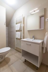 a bathroom with a sink and a toilet at Hiša Janko Bled in Bled