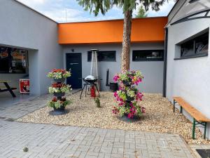 un grupo de flores en macetas frente a un edificio en Holiday houses BARCA en Košice