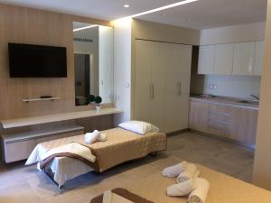 a large room with a bed and a kitchen at On Board Luxury Studios in Sarti