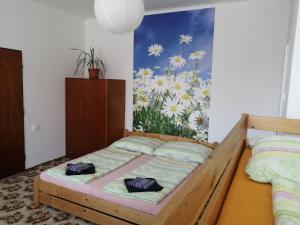 Postel nebo postele na pokoji v ubytování U Ladi