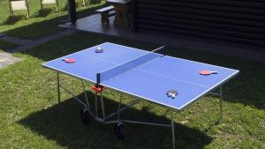 Tischtennis in der Unterkunft Robinzonski smještaj Green Peak oder in der Nähe