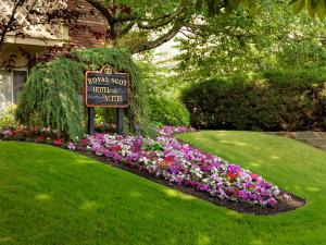 a bouquet of flowers sits in front of a garden at Royal Scot Hotel & Suites in Victoria
