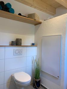 a bathroom with a white toilet and a plant at Naturapartments Birkenreuth in Birkenreuth