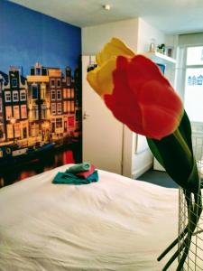 a red and yellow flower sitting on top of a bed at H 58 in Amsterdam