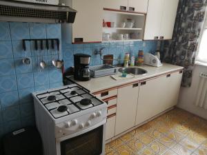 a small kitchen with a stove and a sink at U Ladi in Bulhary