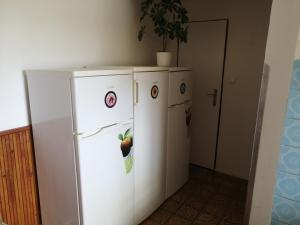 布爾哈里的住宿－U Ladi，厨房配有白色冰箱和橱柜。