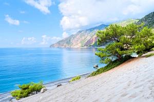 una playa con un árbol y un cuerpo de agua en Acrothea Villa Heated Pool, en La Canea