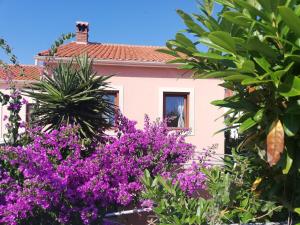 Fotografie z fotogalerie ubytování Apartment Jujube-IQM Destination Quality v destinaci Mali Lošinj
