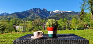 a table with a cup of coffee and a vase with flowers at Pokoje Widokowe Szymaszkowa in Zakopane