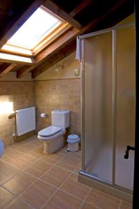 a bathroom with a toilet and a glass shower at La Llosa de Repelao in Covadonga
