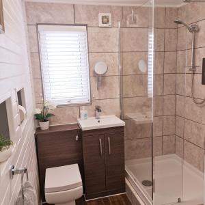 a bathroom with a shower and a toilet and a sink at Fenna Lakeside Lodge - Pine Lake Resort in Carnforth