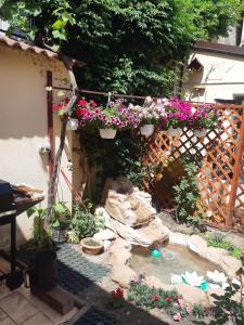 Zahrada ubytování Casa Matilda