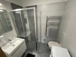 uma casa de banho com um chuveiro, um WC e um lavatório. em Modern apartment in Kutna Hora em Kutná Hora
