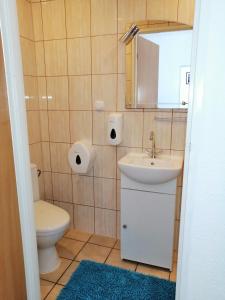 a bathroom with a toilet and a sink at Orka Wakacje in Dźwirzyno