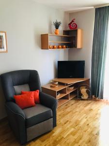 een woonkamer met een stoel en een televisie bij IDI MI - DODJI MI in Vrnjačka Banja
