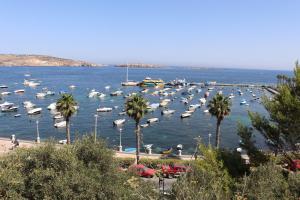 a bunch of boats in the water with palm trees at Flat 6 in St. Paul's Bay