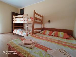 a bedroom with a bed and two bunk beds at Apartmani Smiljanic app 3 in Soko Banja