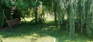 a park with a bench and trees and a net at Fűzfa Apartmanház in Tamási