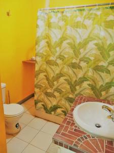 a bathroom with a sink and a shower curtain at TOGA GUEST HOUSE in Port Antonio