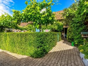 a hedge in front of a house at Holiday Home with Terrace Garden Parking in Uikhoven