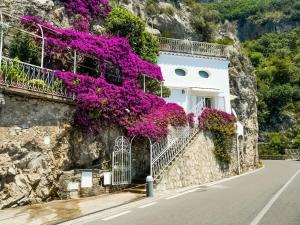 a house with flowers on the side of a mountain at Belvilla by OYO Arienzo in Positano