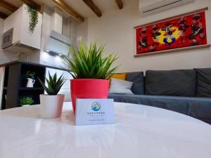 Kuchnia lub aneks kuchenny w obiekcie Gozamena Zarautz (Surf/Mendi)