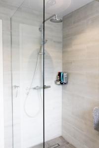 a shower with a glass door in a bathroom at Siddy Apartment in Reykjavík