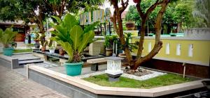 A garden outside Ahlen Pangandaran