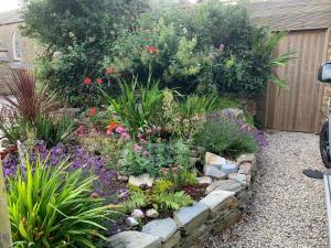 a garden with flowers and plants in a yard at Bossiney Cove Cottage in Tintagel