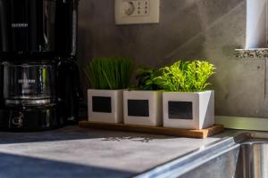 Zdjęcie z galerii obiektu Downtown Apartment Helena w mieście Opatija