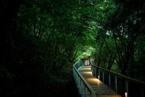 箱根Hakone Retreat Före的相册照片