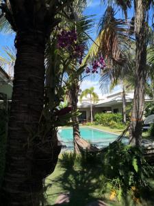 a palm tree next to a swimming pool at Tropical House​ in Hua Hin