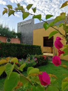 un jardín con flores rosas frente a un edificio en Pousada Aconchego en Pitimbu