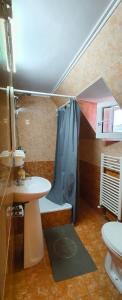 een badkamer met een douche, een wastafel en een toilet bij Vila Coca in Predeal