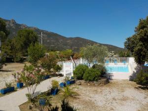 a garden with plants and a swimming pool at Hotel Cinque Arcate in Galeria