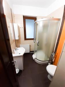 a bathroom with a shower and a toilet and a sink at MIRANA-Marginimea Sibiului in Cristian +33 photos